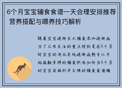 6个月宝宝辅食食谱一天合理安排推荐 营养搭配与喂养技巧解析